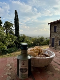 View from the outside decking, with the olive oil they make and bread served at dinner
