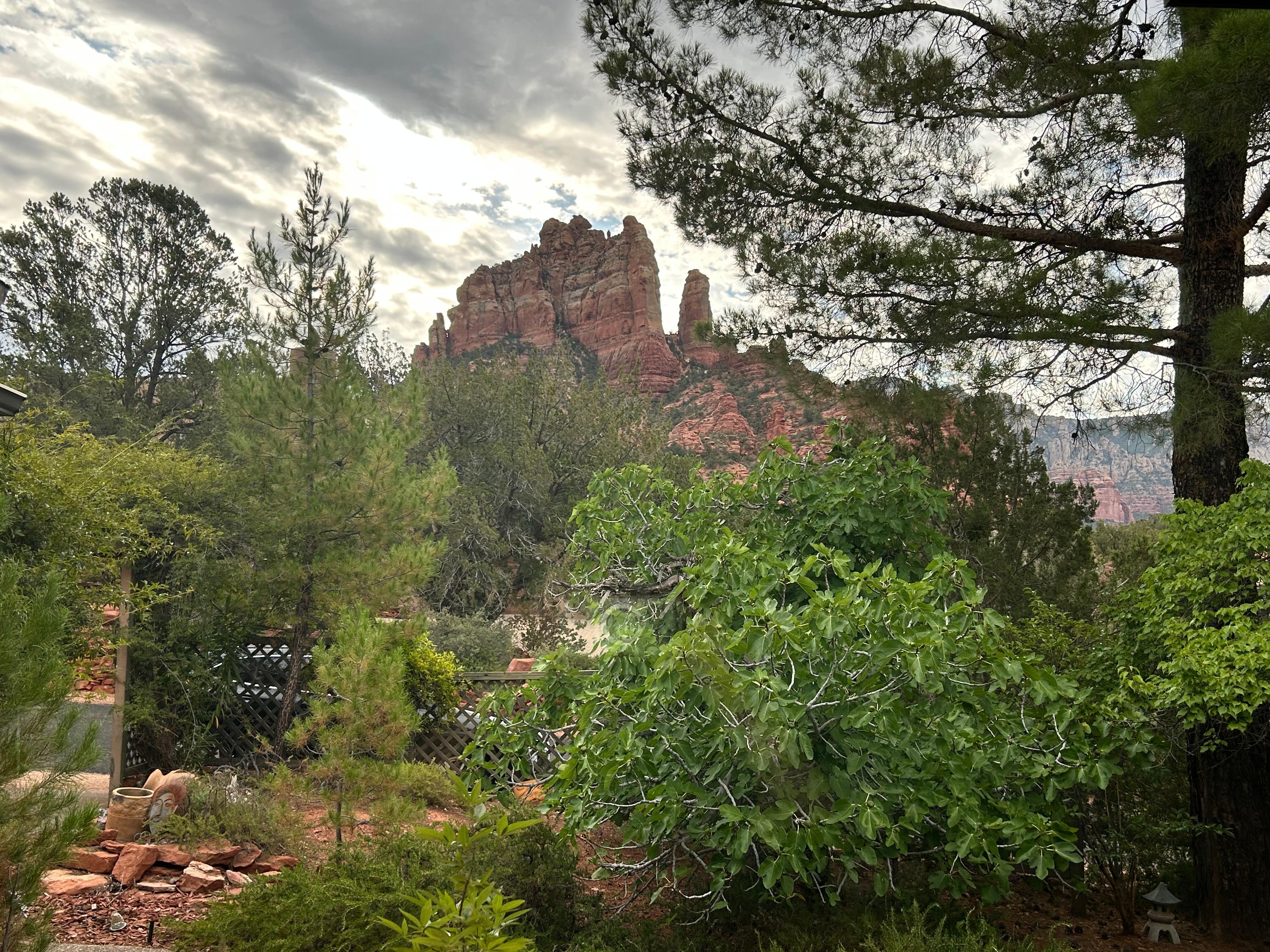 View from the kitchen