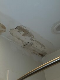 Rotting ceiling