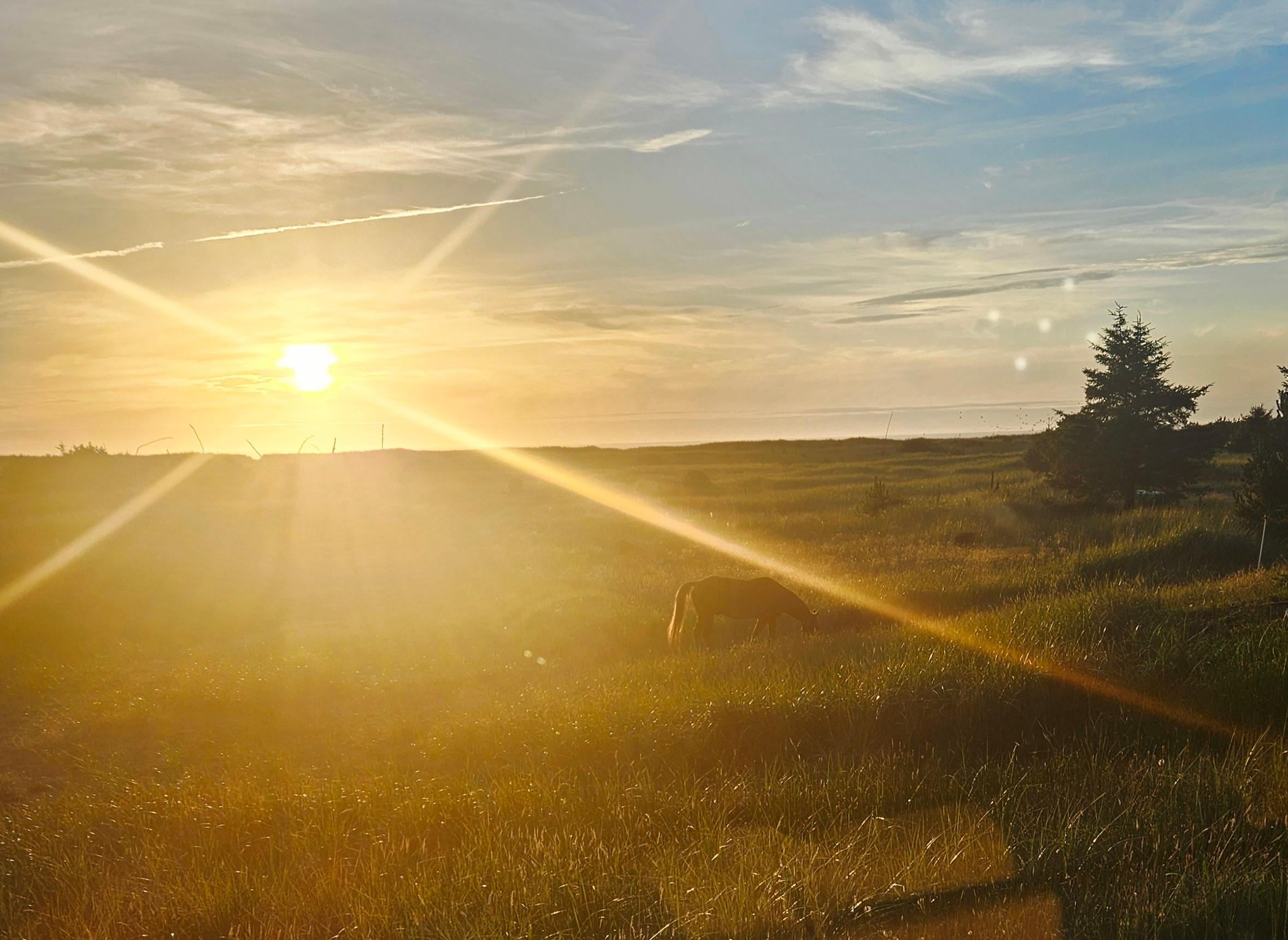 Sunset from the hot tub