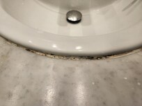 Mold