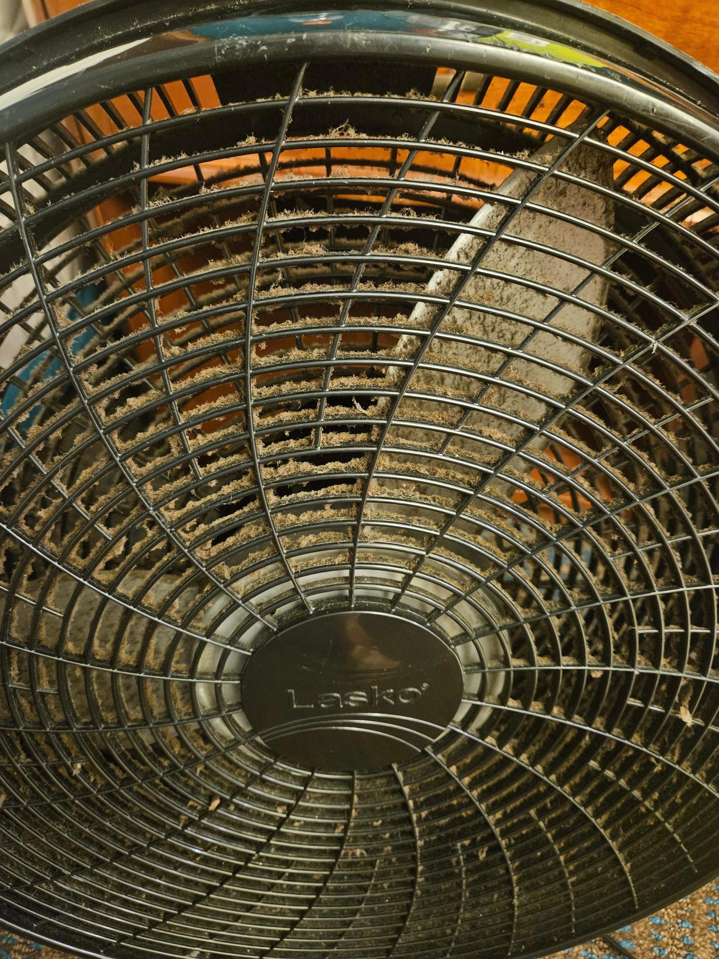 We asked for a fan after our a/c could not be fixed and no other room was available. It was absolutely filthy and smelled of chemicals.