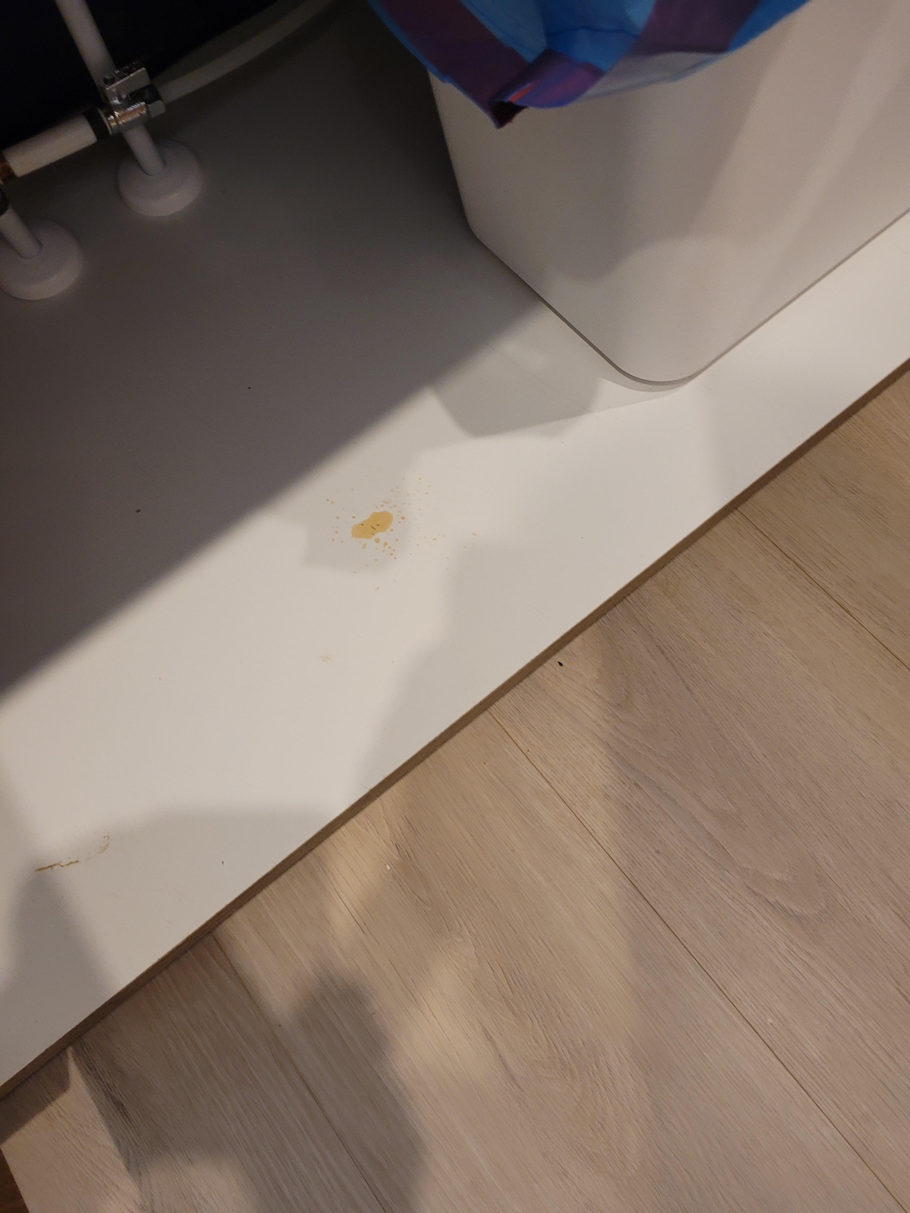 under garbage can in lower cupboard