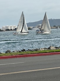 Across the street view. Always something to see on the bay.