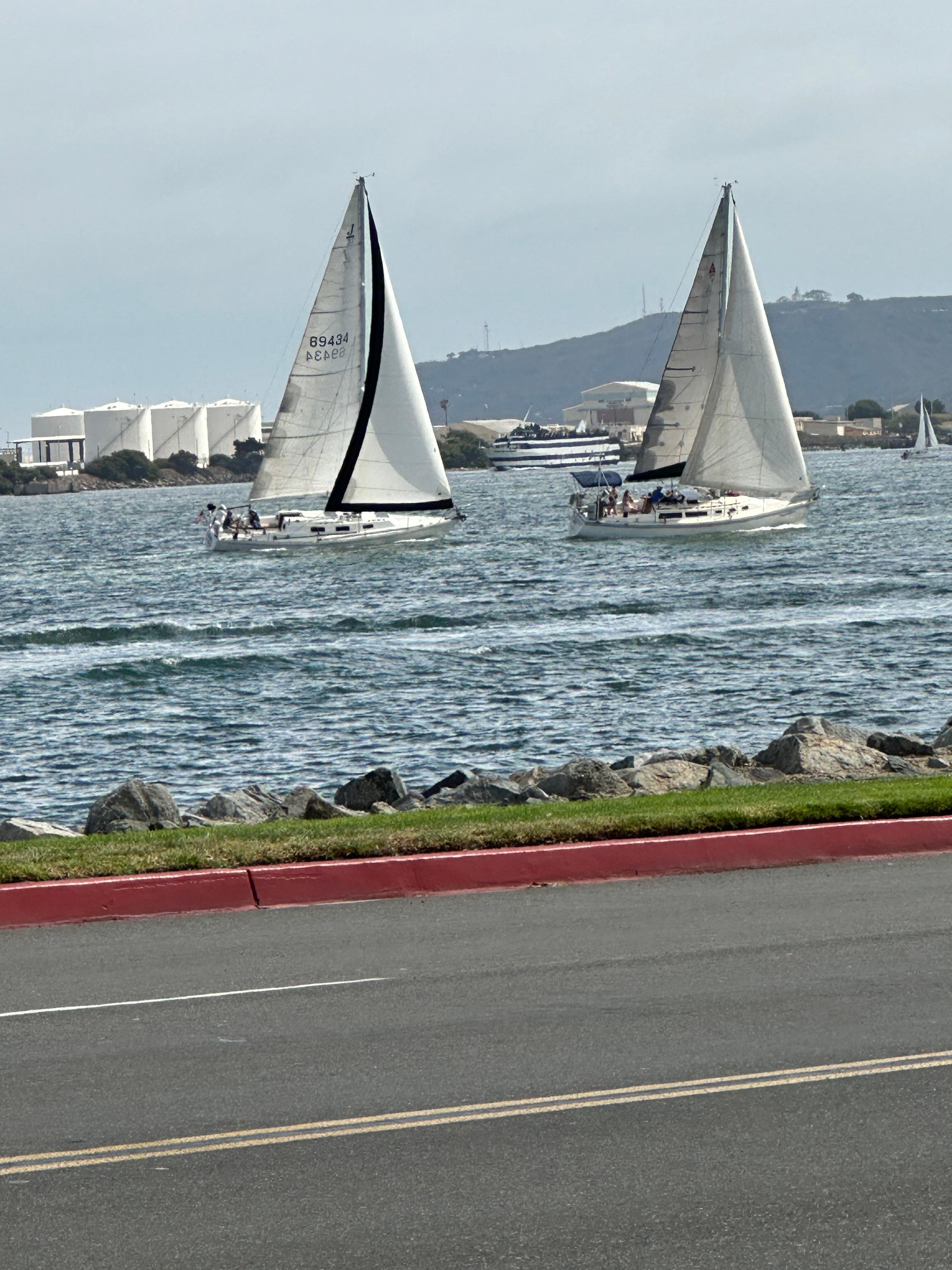 Across the street view. Always something to see on the bay.