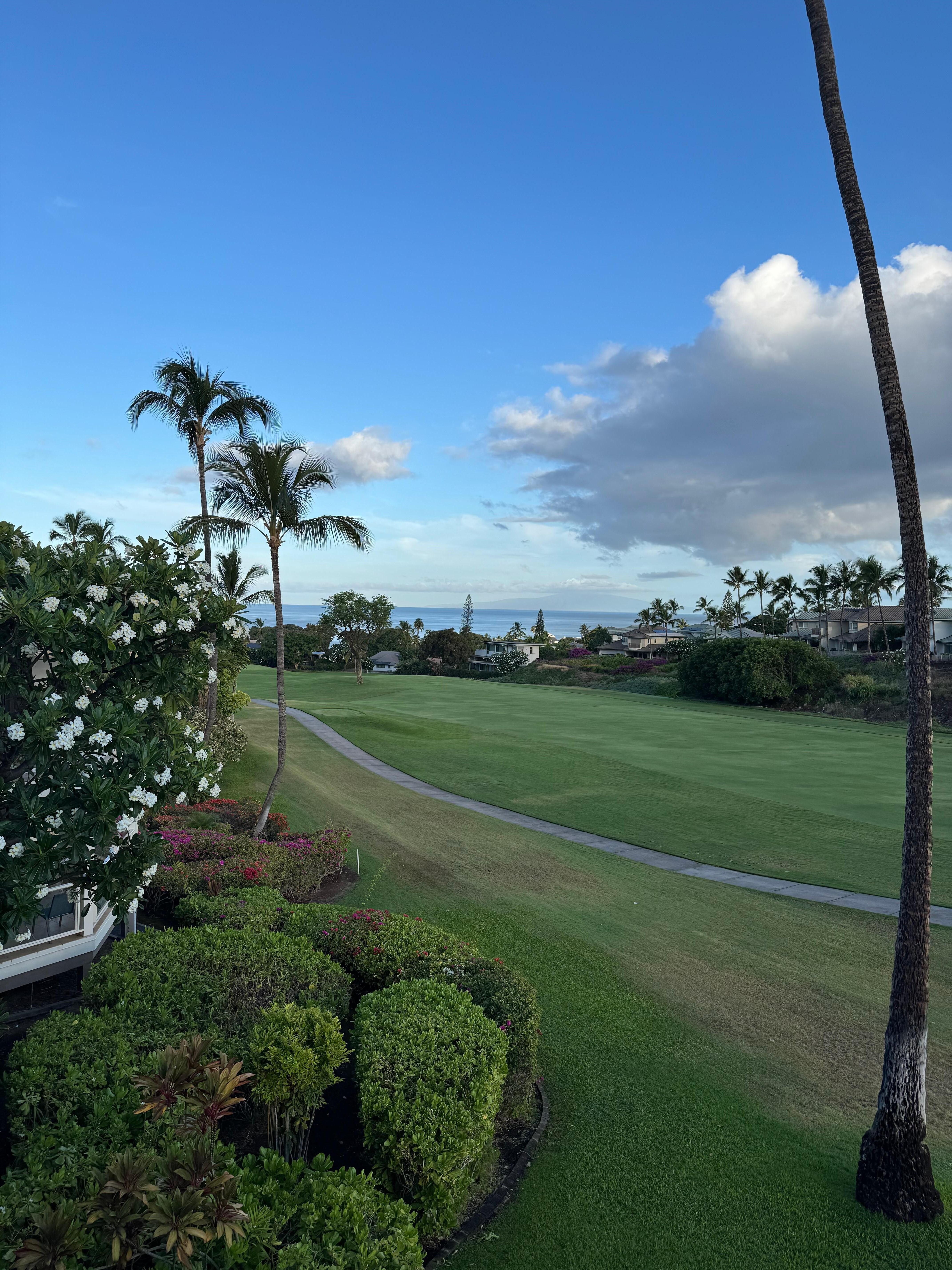 View from the balcony. 