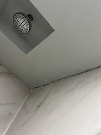 Mold in the bathrooms
