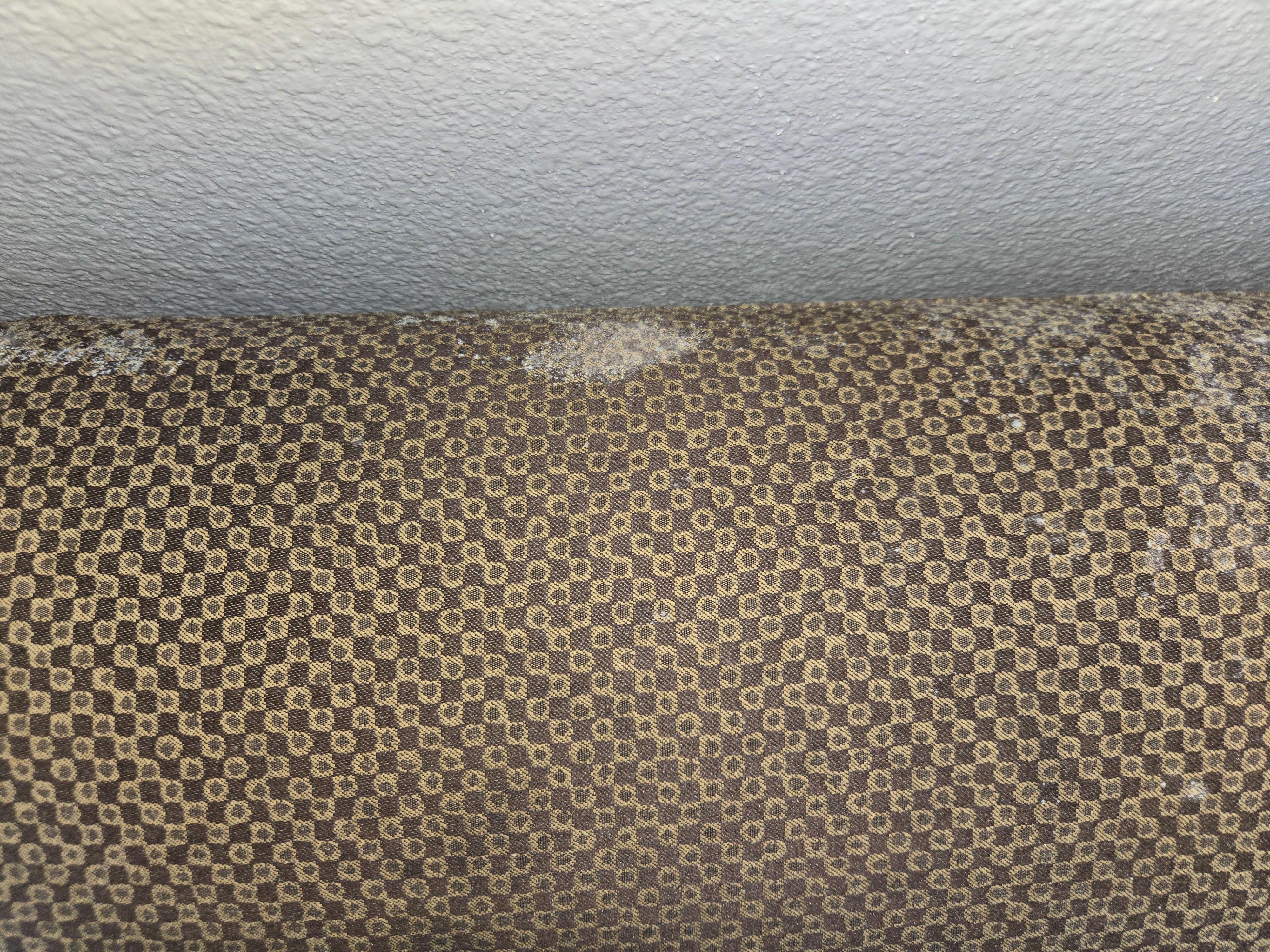 Mold all over the couch.