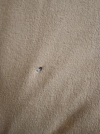 HOLES IN BLANKETS. SHEETS SMELLED LIKE A SWEATY MAN.