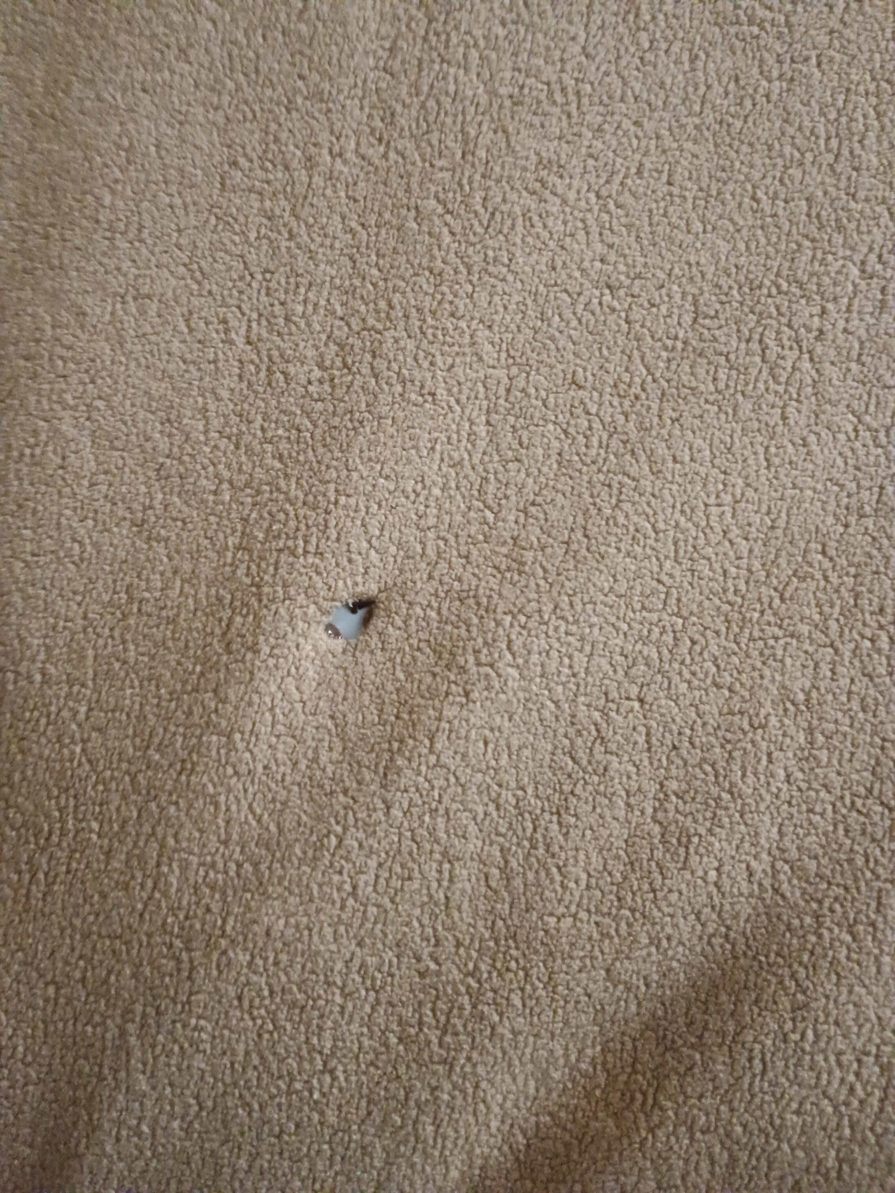 HOLES IN BLANKETS. SHEETS SMELLED LIKE A SWEATY MAN.