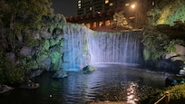 Gardens at night