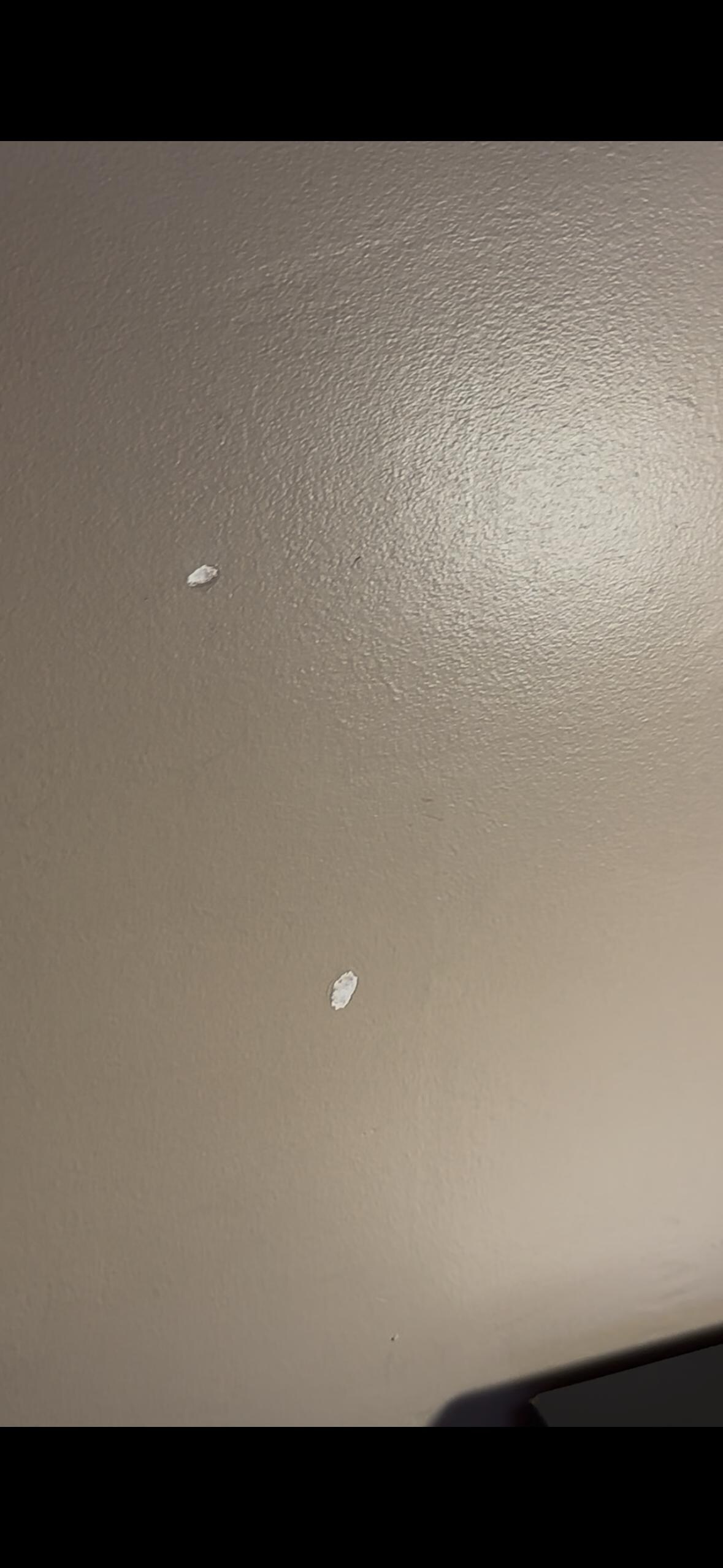 What the walls looked like 
