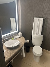Bathroom lacks storage and counter space