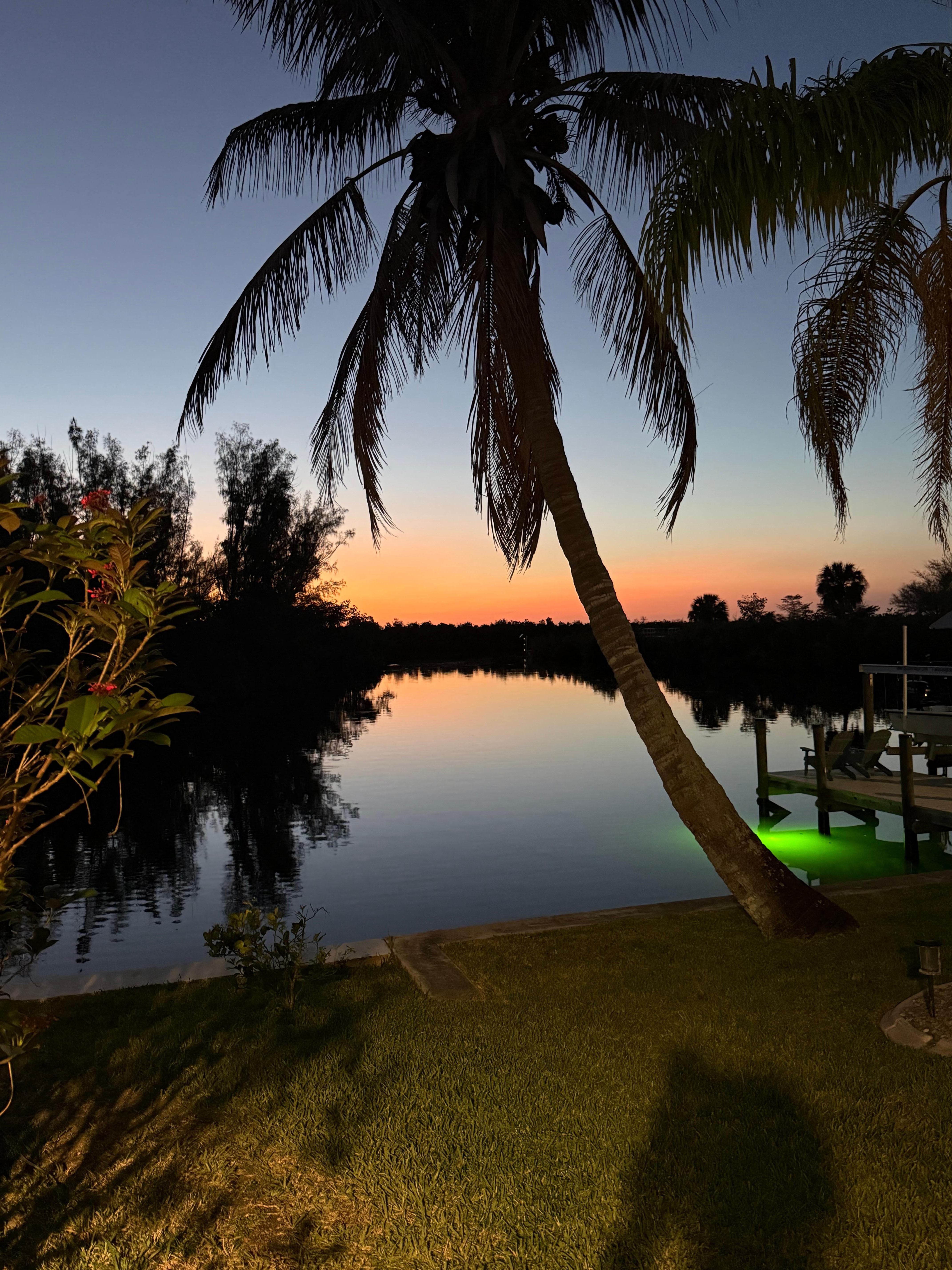 Sunset from the backyard! 