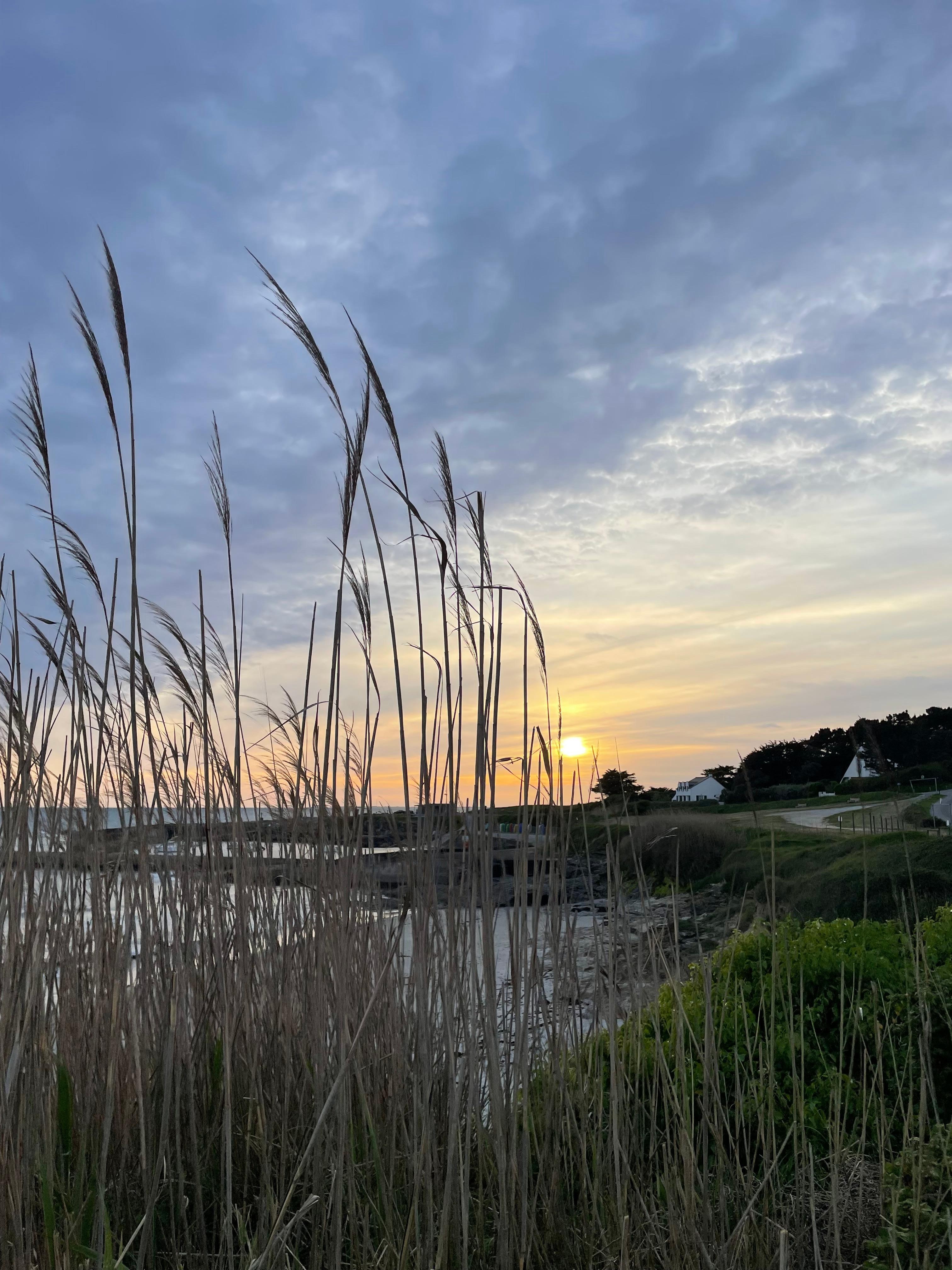 Coucher de soleil sur le port aux moines 