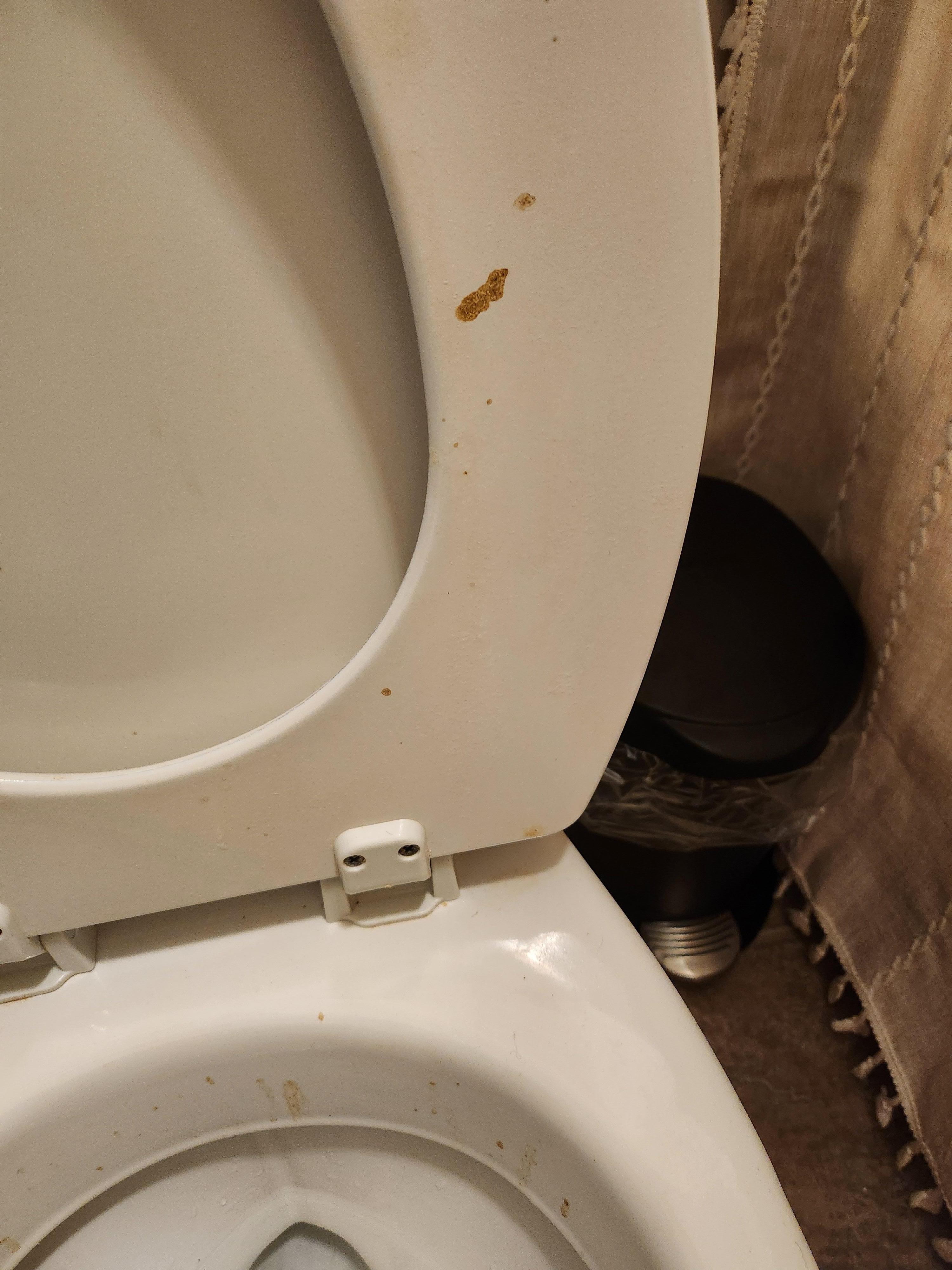 Dirty toilet
