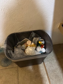 Trash not picked up everyday (attracting ants)