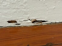 Wood finishes eaten by termites