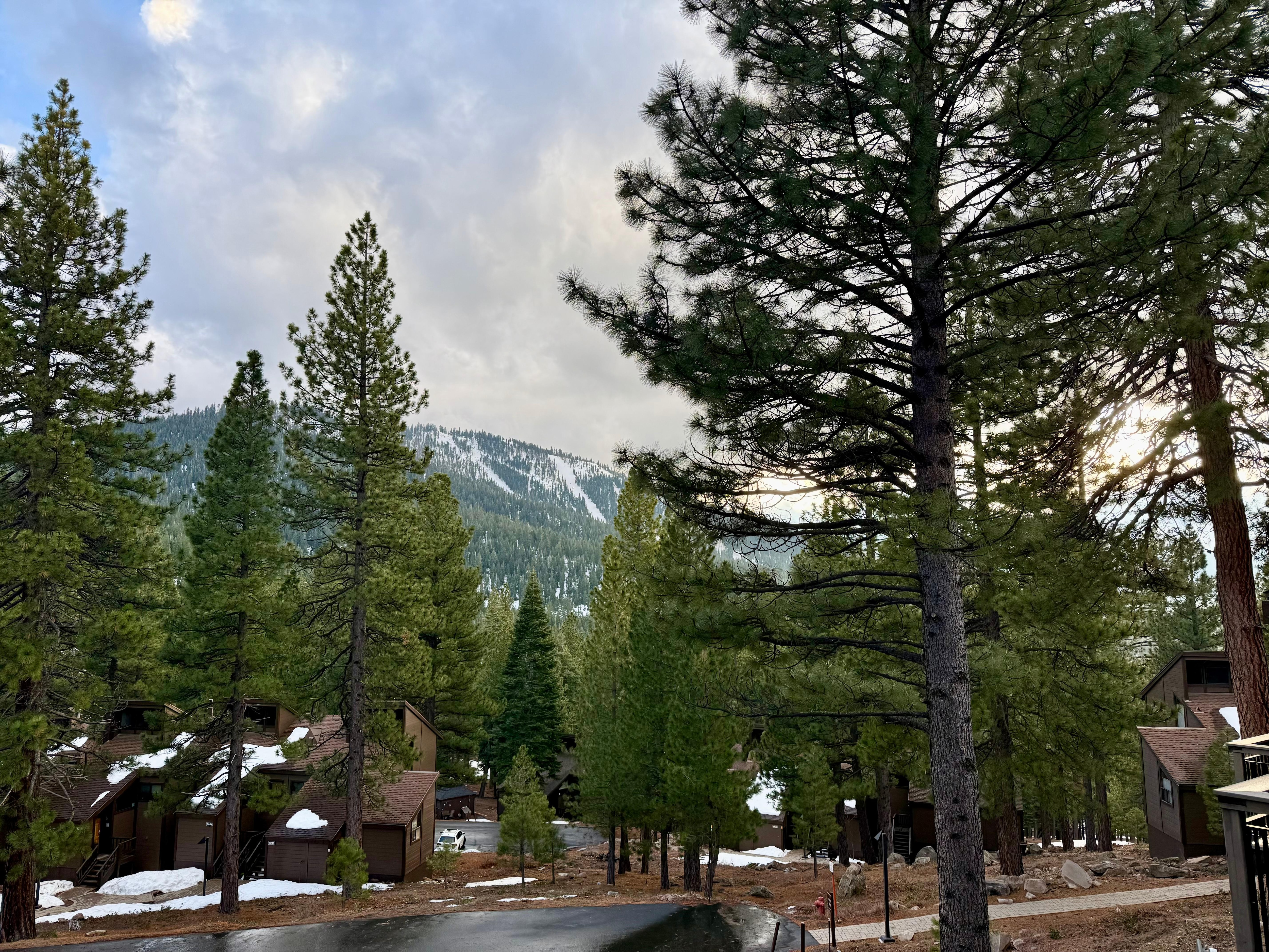view from back