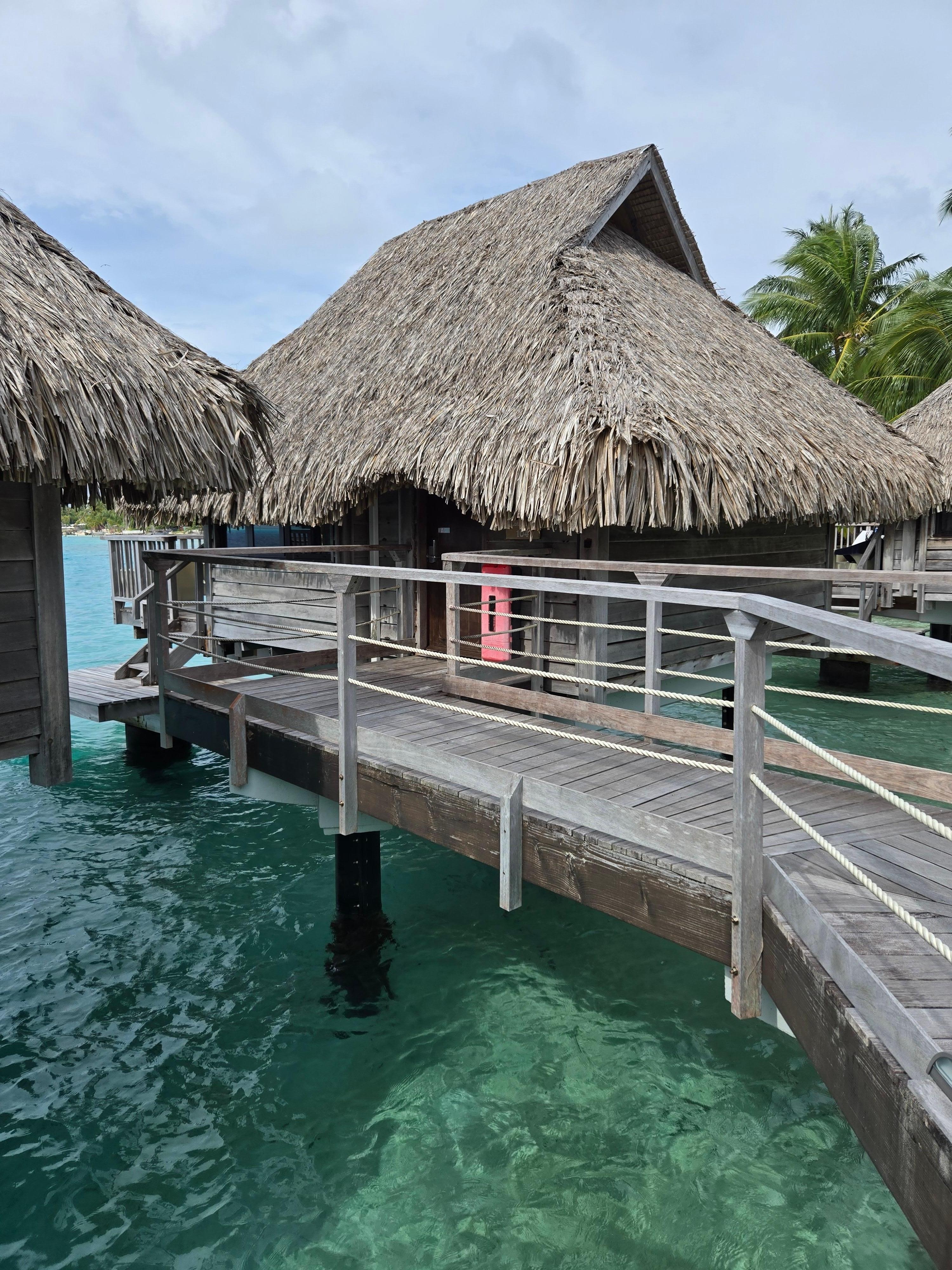 Service was top notch! I OWB was amazing!