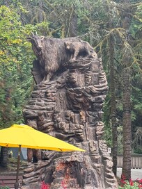 Grouse mountain