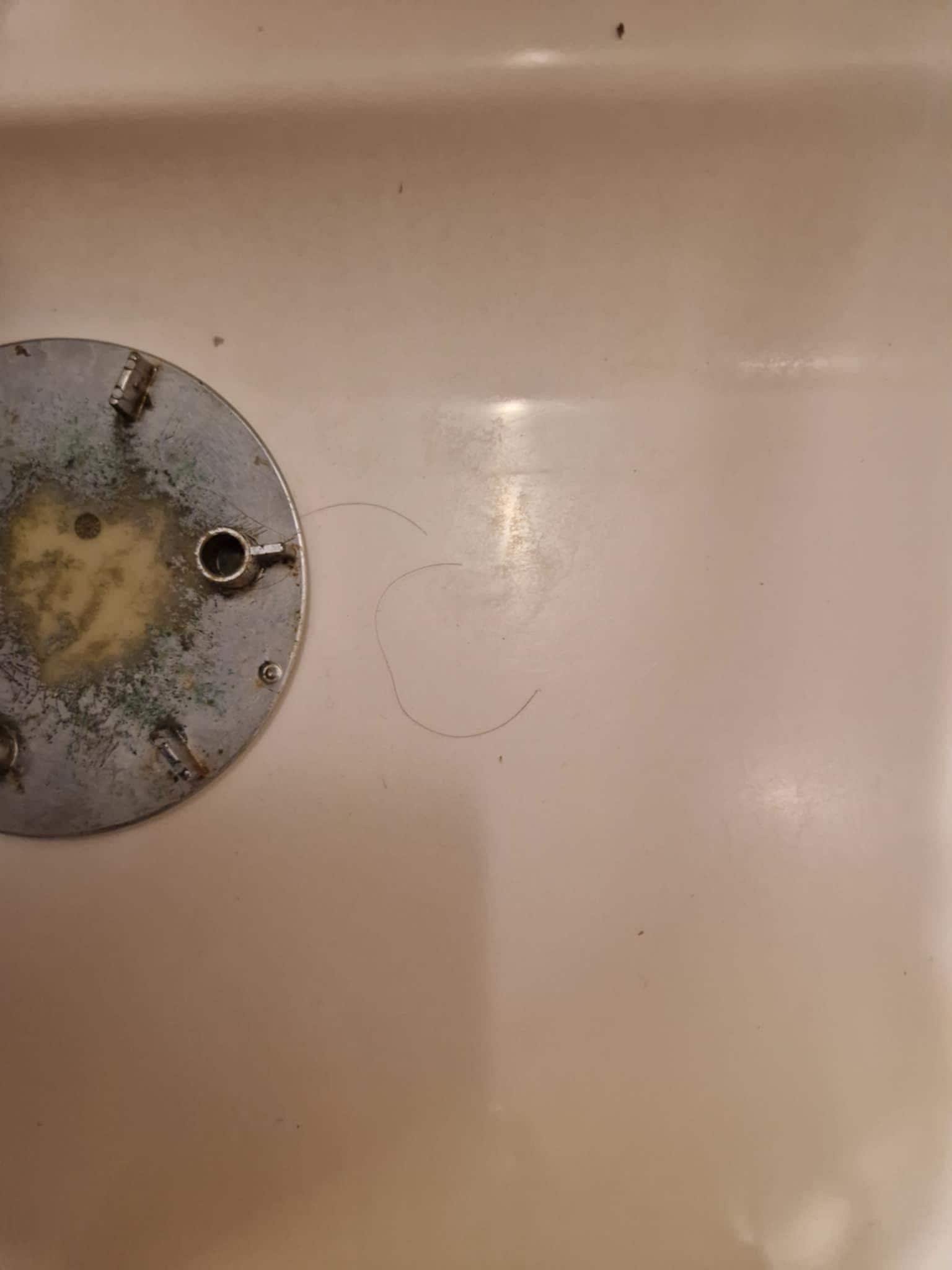 Cheveux dans la douche 