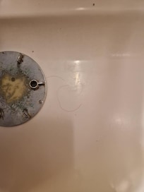 Cheveux dans la douche