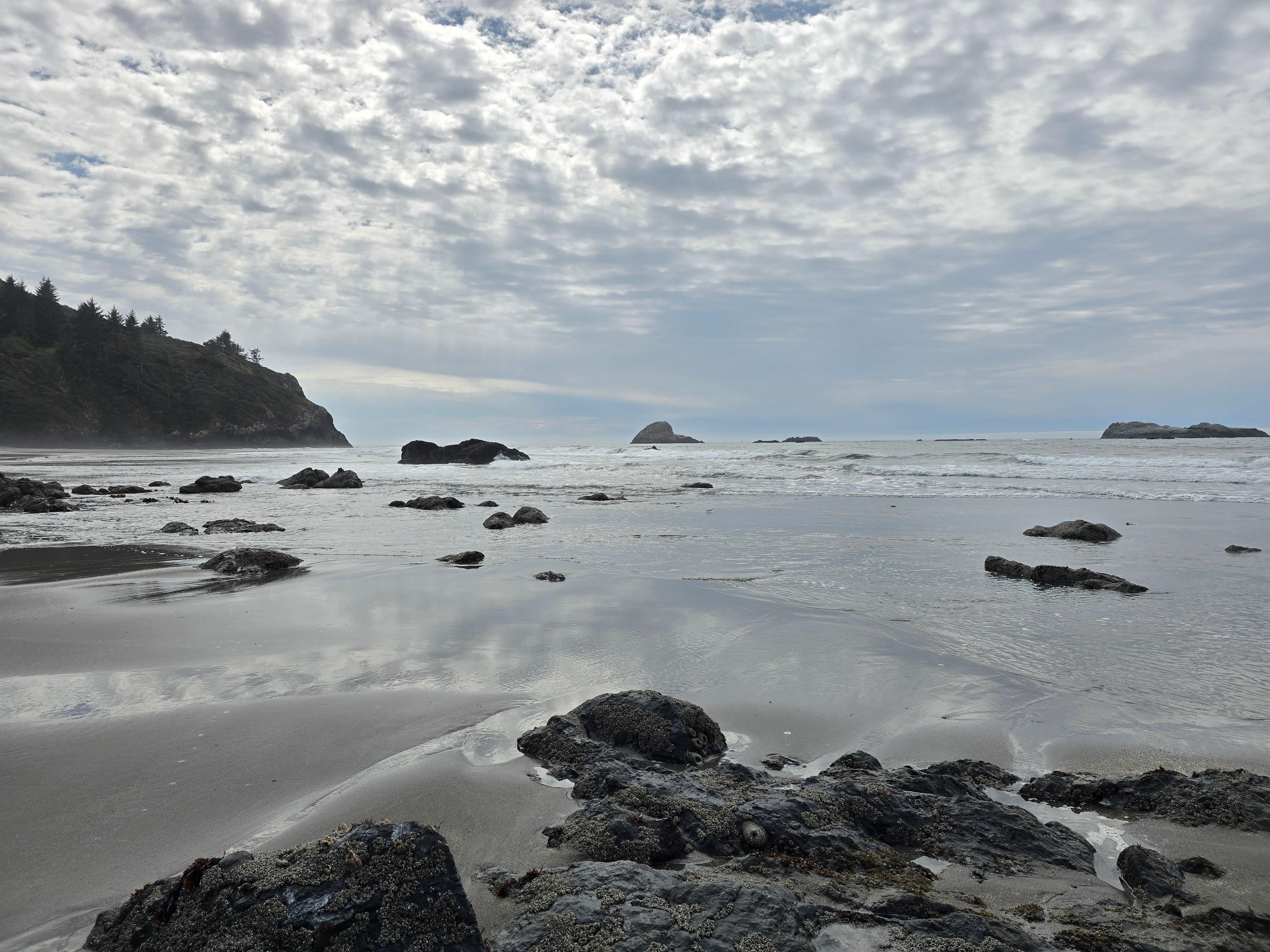 Trinidad State Beach.