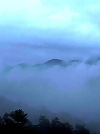 Smoky Mountain View.