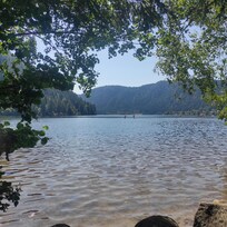Lac de Longemer