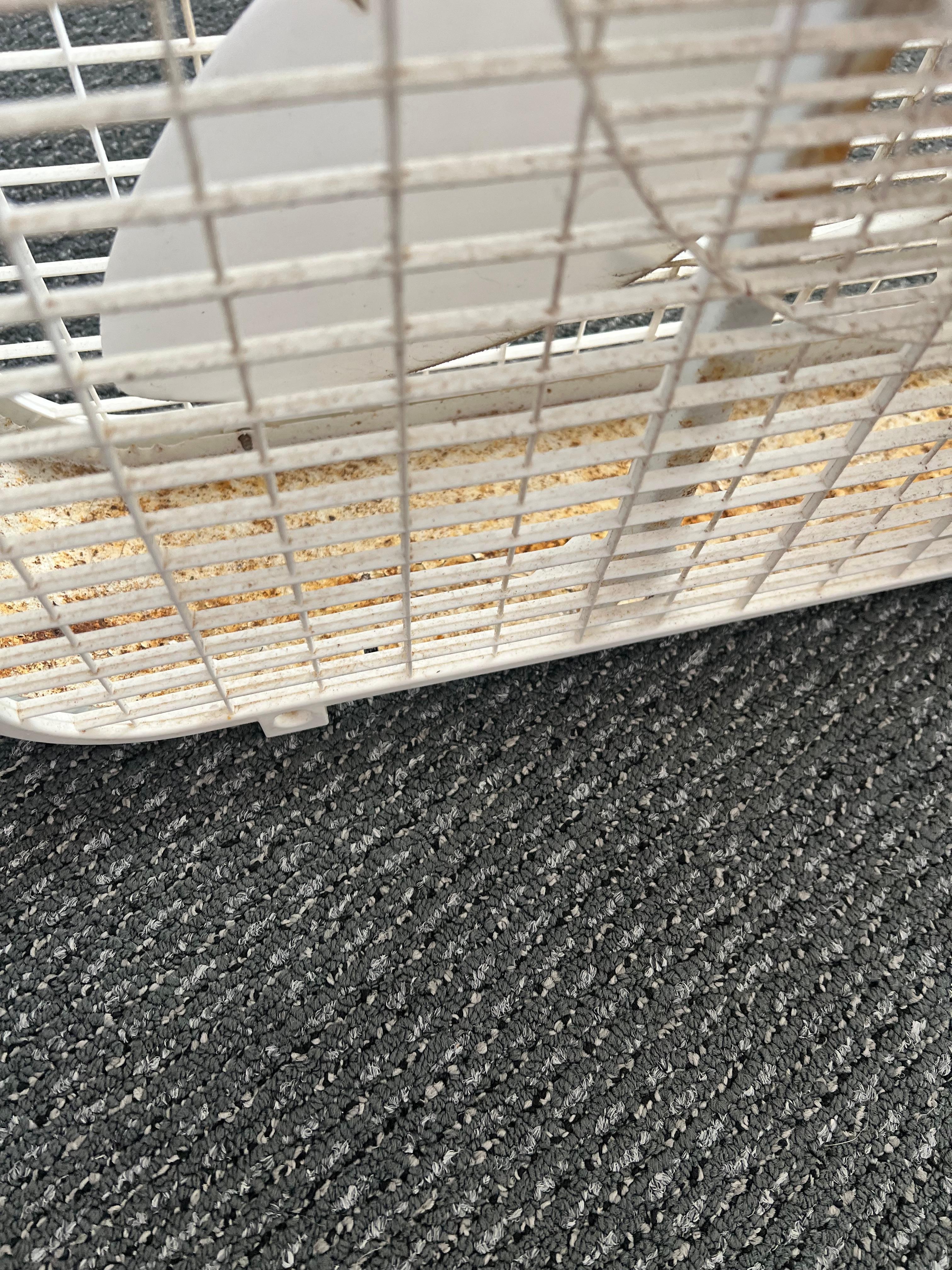 Very dirty box fan