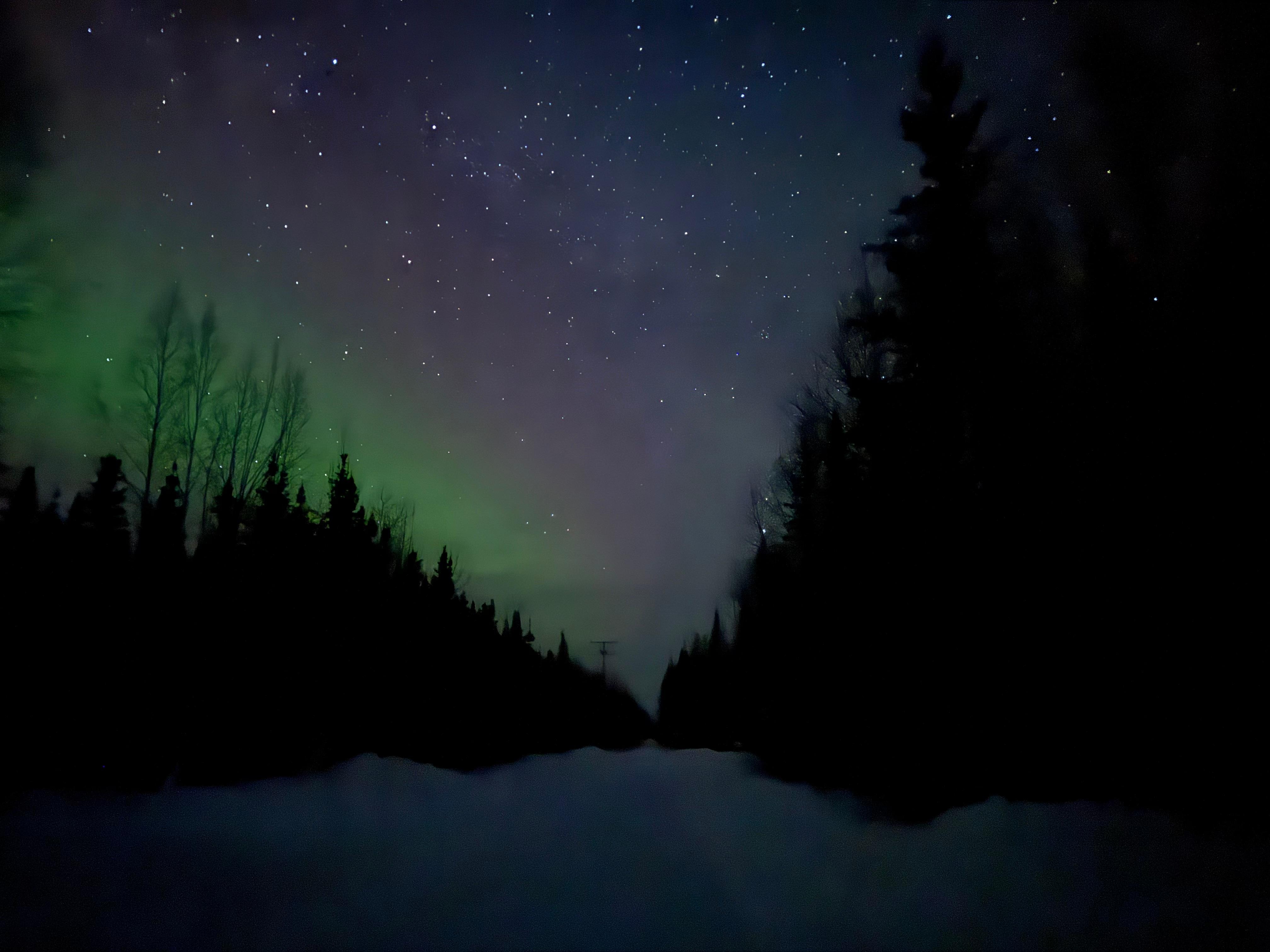 Pictures were taken for the front yard of the property towards the road. 