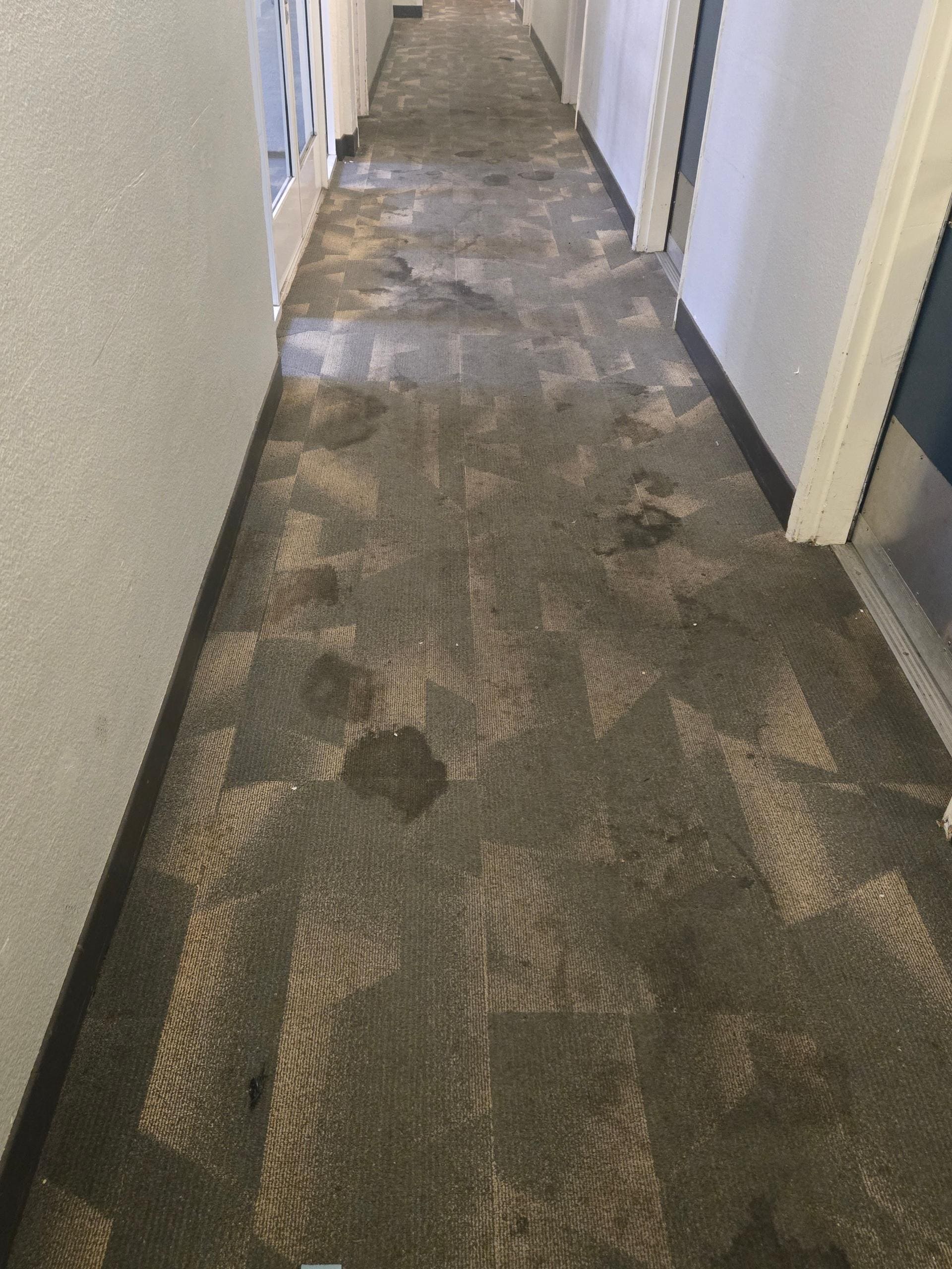 dirty carpet 