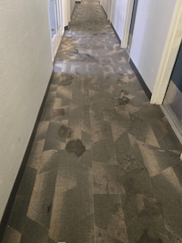 dirty carpet