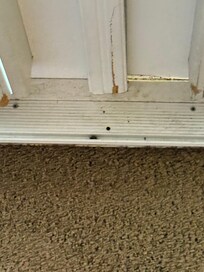 Example of level of cleanliness.