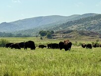 The wildlife refuge, only 15 minutes away!