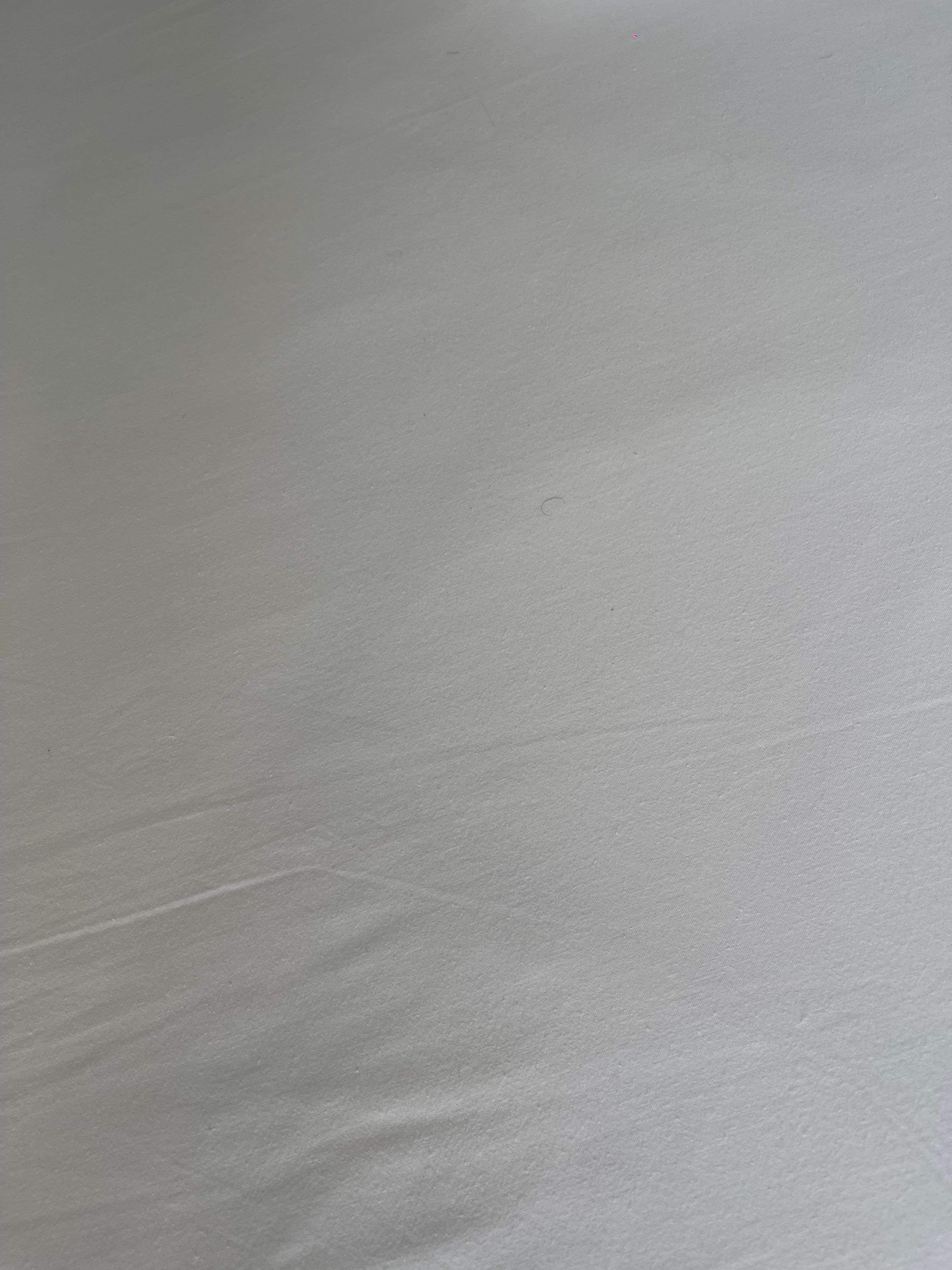 Pubic hairs on the sheets 