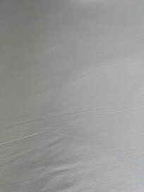 Pubic hairs on the sheets