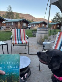 Great spot to read