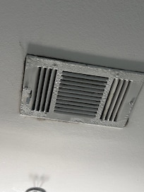 Mold in the in law bathroom showing excessive moisture.