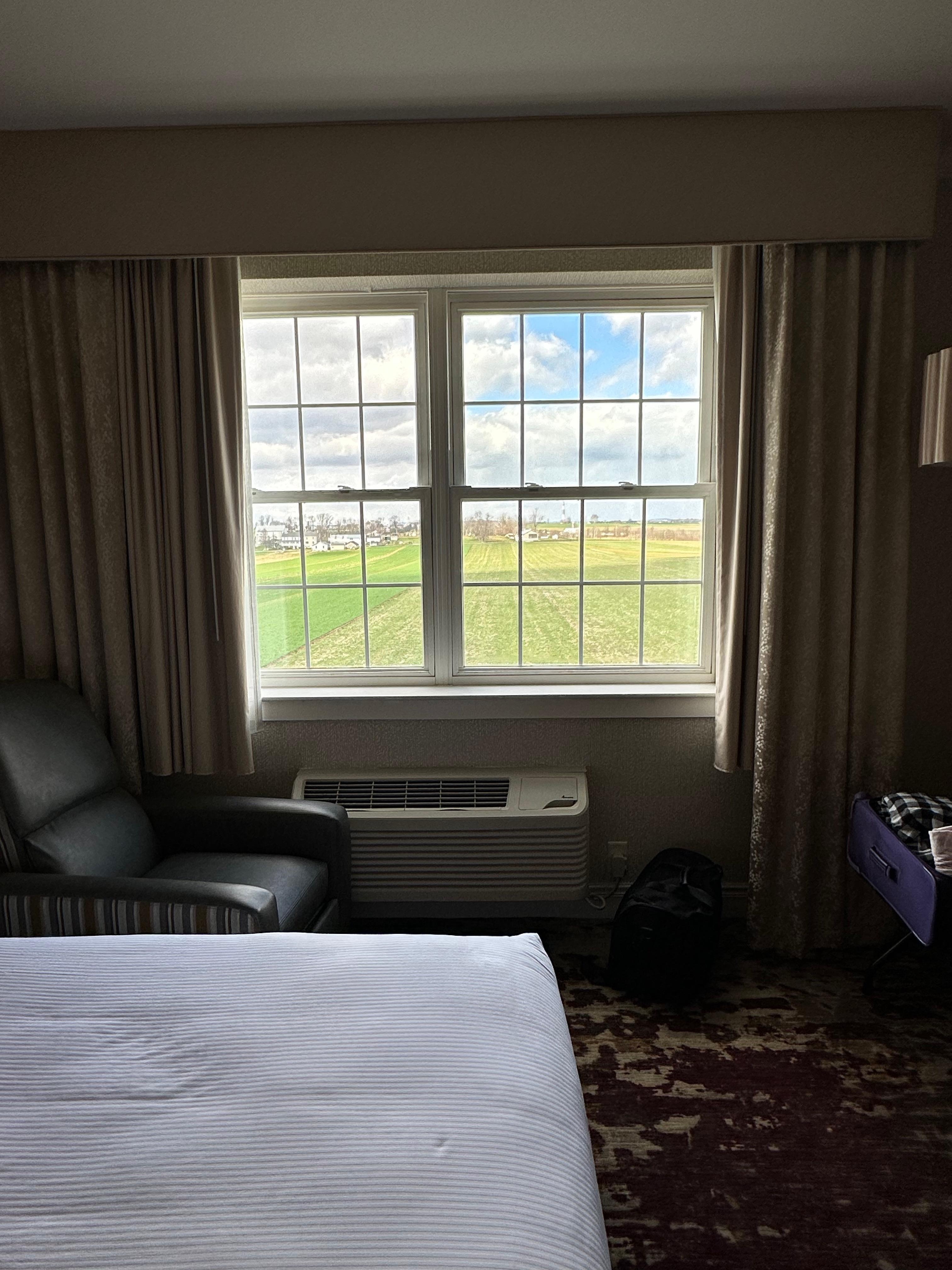 Room with a view