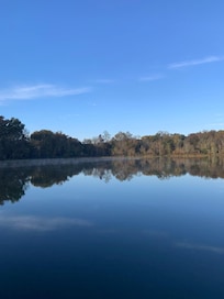 Dock views