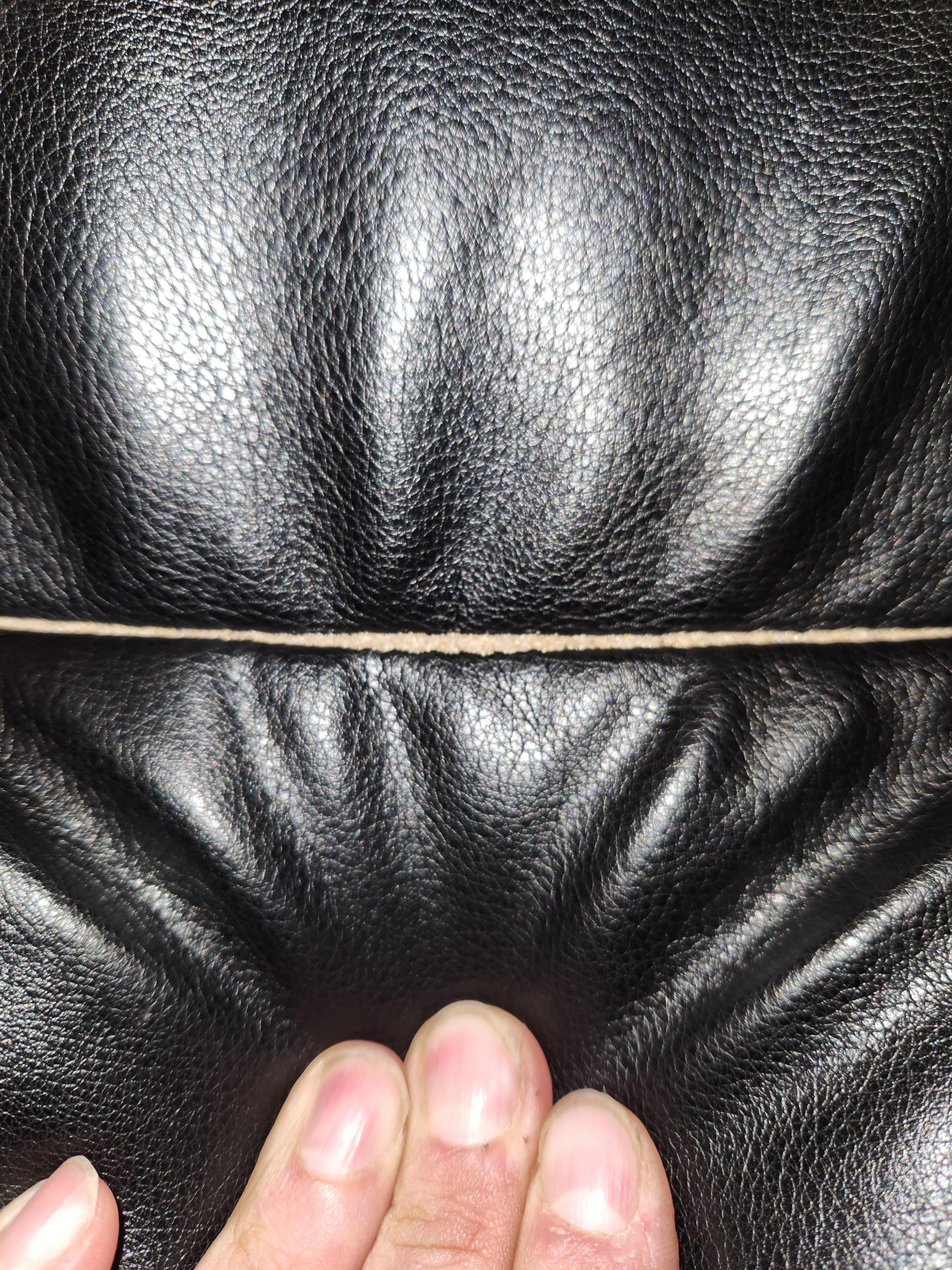 Thought we might try to stay on the futon, that ended up being covered with sand and animal hair. 