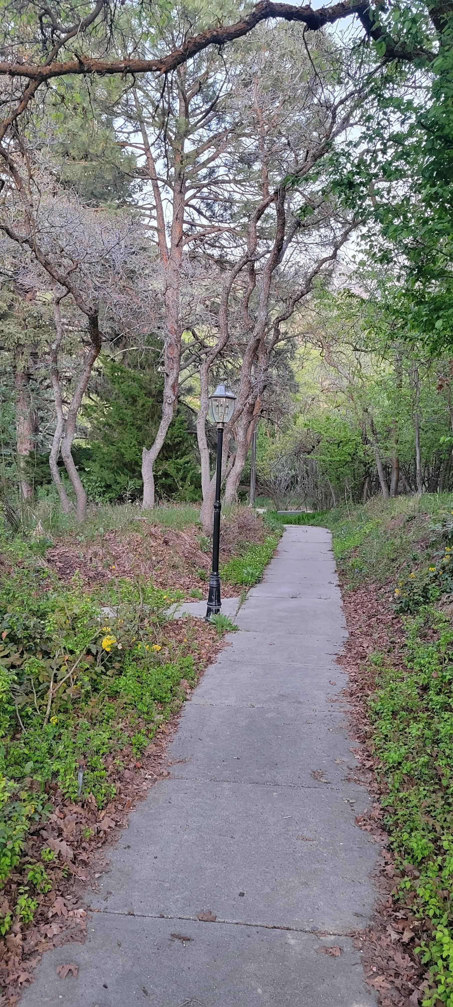 Walkway to the front of the house with flickering Narnia type of light.