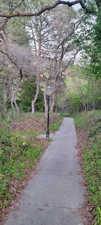 Walkway to the front of the house with flickering Narnia type of light.