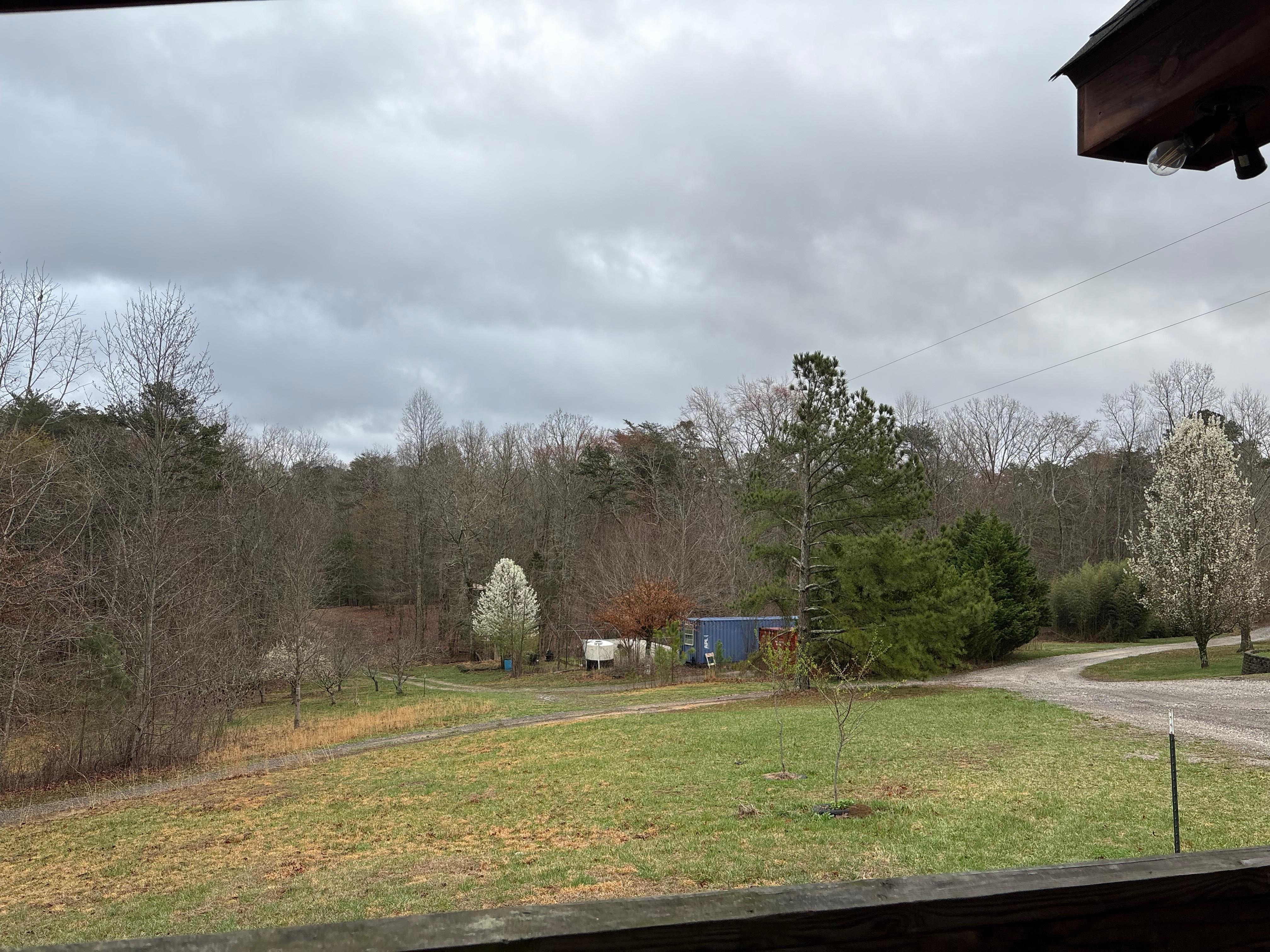 Back porch has very nice view.  It was a little dreary that day and we weren’t in season where trees were blooming yet 