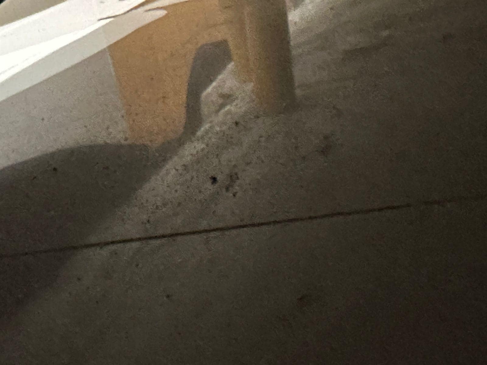 sujeira em baixo da cama