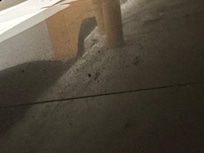 sujeira em baixo da cama