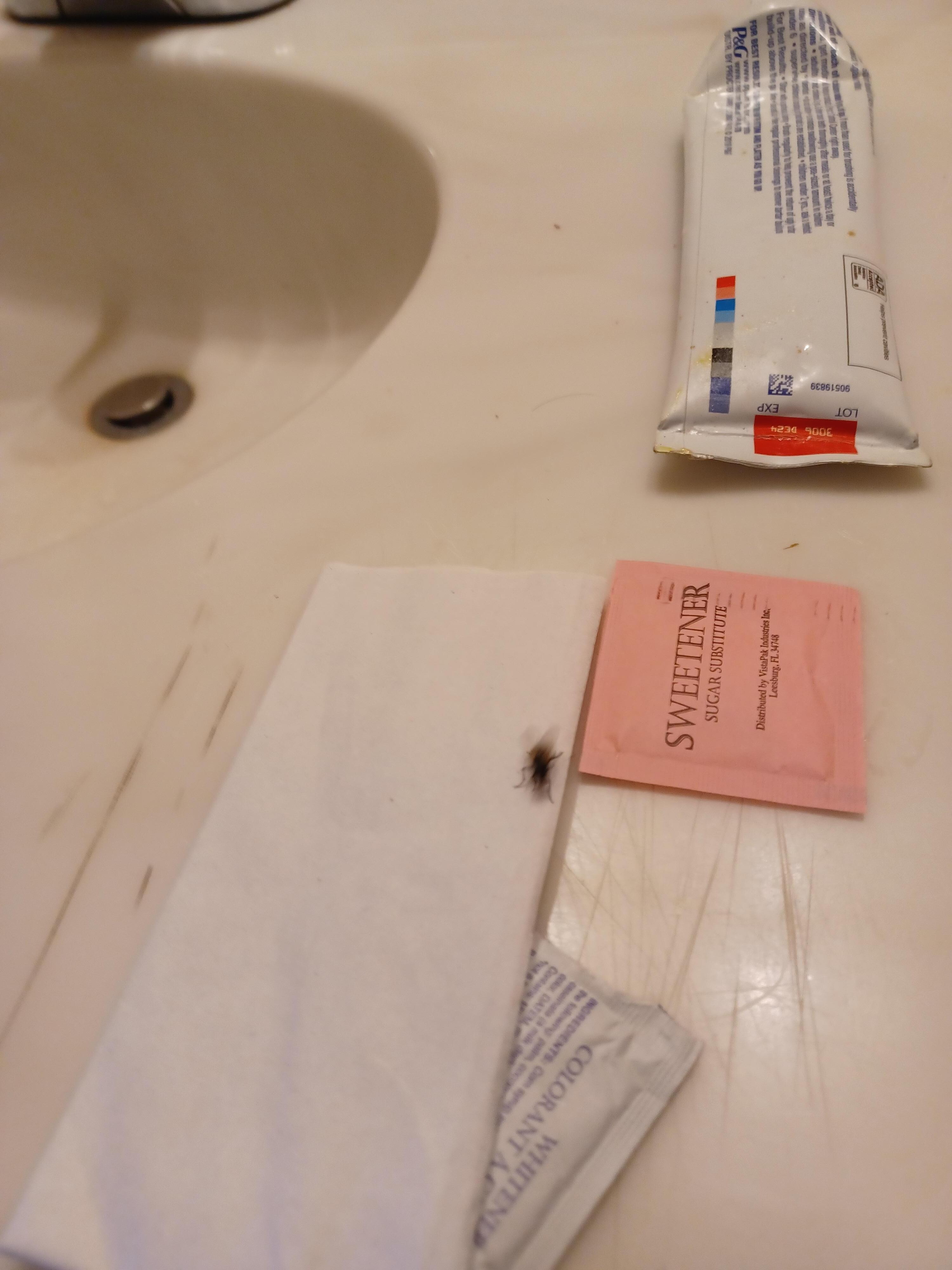 Killed 2 flies then gave up