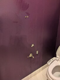 No toilet paper holder but this is pretty reflected of the state of the entire house.... needs So much work